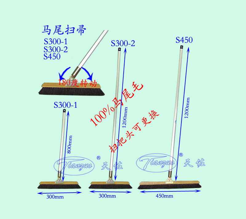 馬尾（wěi）掃帚